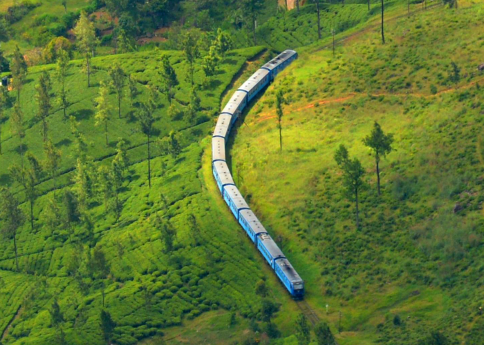 Nanuoya train ride