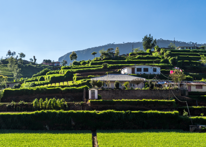 Nuwara eliya